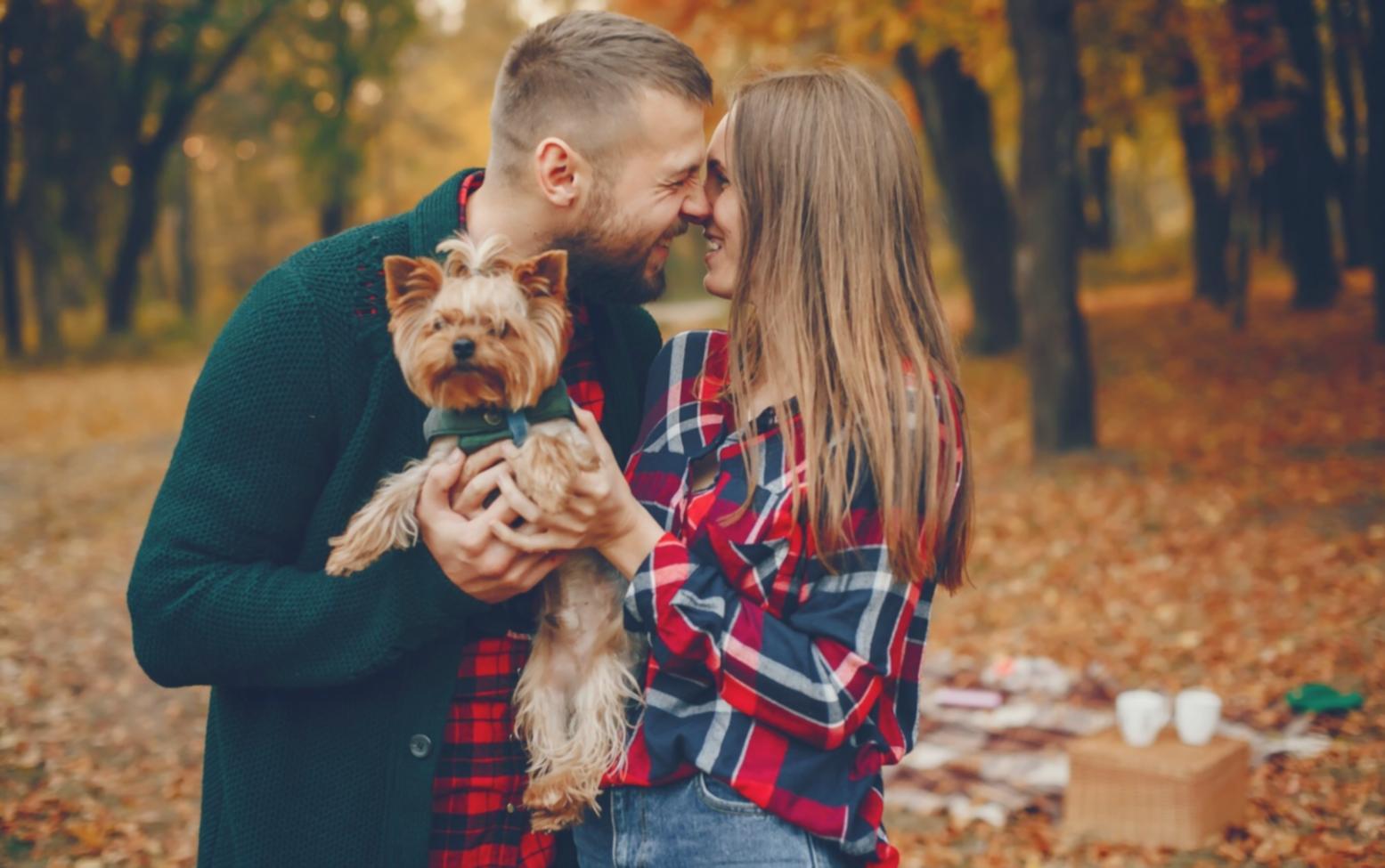 Работа с документами и заявлениями